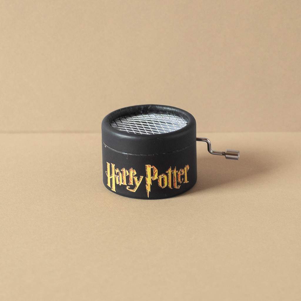 Harry Poter music box